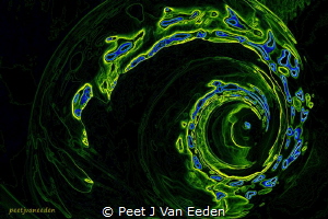 Fluorescence of an Abalone by Peet J Van Eeden 